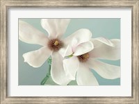 Magnolias Fine Art Print