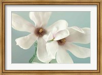 Magnolias Fine Art Print