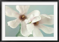 Magnolias Fine Art Print