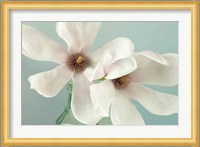 Magnolias Fine Art Print