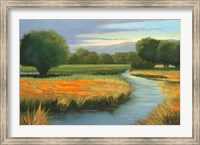 California Orange Fine Art Print