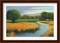 California Orange Fine Art Print