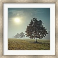 It's a New Day Fine Art Print