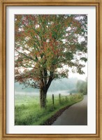 Almost Autumn Fine Art Print