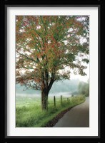 Almost Autumn Fine Art Print