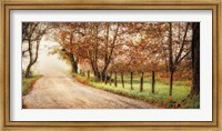 Fog Ahead Fine Art Print