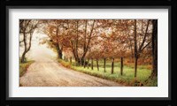Fog Ahead Fine Art Print