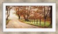 Fog Ahead Fine Art Print