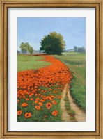 Poppy Field Fine Art Print