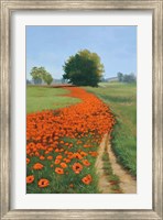 Poppy Field Fine Art Print