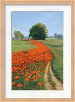 Poppy Field Fine Art Print