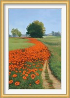 Poppy Field Fine Art Print