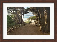 Big Sur Fine Art Print