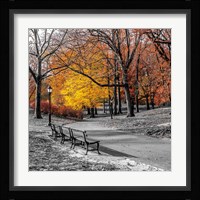 Park Pretty I Framed Print