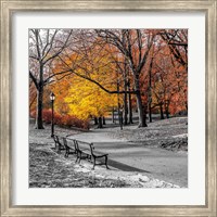 Park Pretty I Fine Art Print