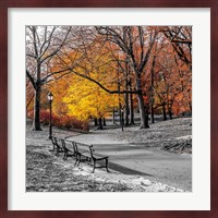 Park Pretty I Fine Art Print