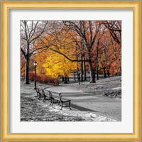 Park Pretty I Fine Art Print