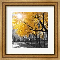 Park Pretty II Fine Art Print