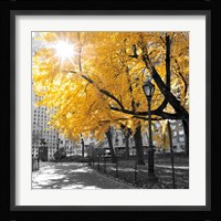 Park Pretty II Fine Art Print