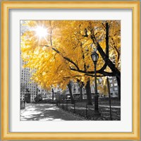 Park Pretty II Fine Art Print