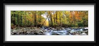 Porters Creek Fine Art Print