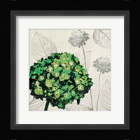 A Touch of Color IV Fine Art Print