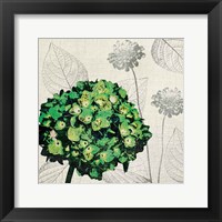 A Touch of Color IV Framed Print