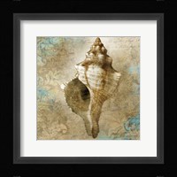 Aquatic Allure Fine Art Print
