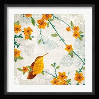 Birds and Butterflies III Framed Print