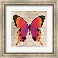 Butterflies III Fine Art Print