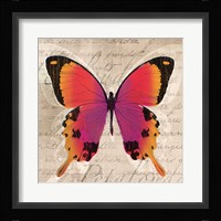 Butterflies III Fine Art Print