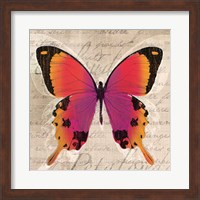 Butterflies III Fine Art Print
