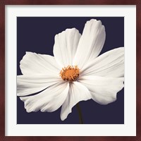 Cosmos II Fine Art Print