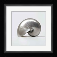 Beachside Treasure I Fine Art Print