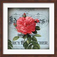 Petite Rose I Fine Art Print