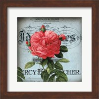 Petite Rose I Fine Art Print