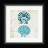 Under the Sea III Framed Print
