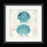 Under the Sea IV Framed Print