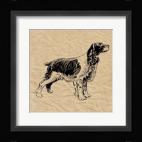 Spaniel Framed Print