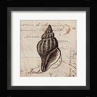 Ocean Collection I Framed Print