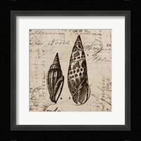 Ocean Collection III Framed Print