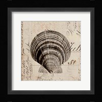 Ocean Collection IV Framed Print