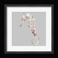 Seahorse Fine Art Print