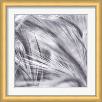 Natural Designs IV Fine Art Print