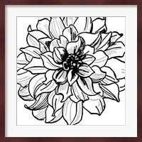 Floral Outlines III Fine Art Print