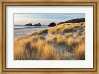 Dune Grass And Beach Fine Art Print