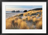 Dune Grass And Beach Fine Art Print