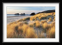Dune Grass And Beach Fine Art Print