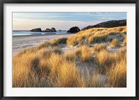 Dune Grass And Beach Fine Art Print