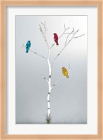 Three In A Tree Fine Art Print